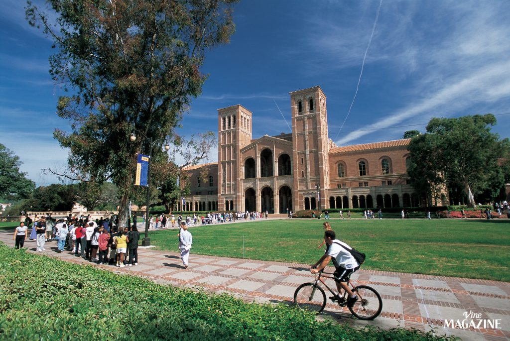 미국 대학교의 풍경