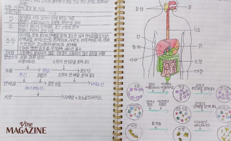 상상코칭 학생이 스스로 공부한 노트